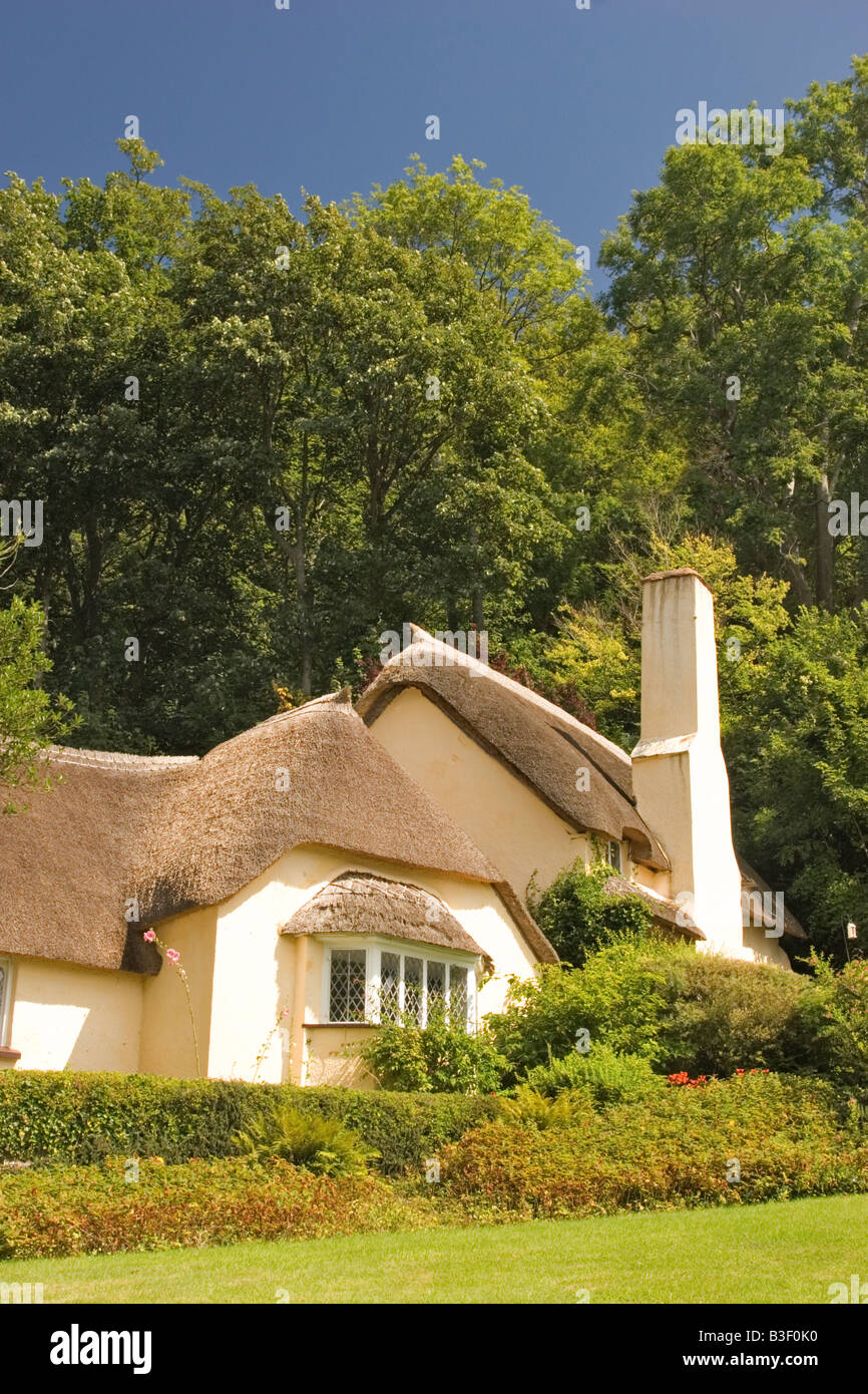 Selworthy thatched cottage, Holnicote estate, Somerset, England UK