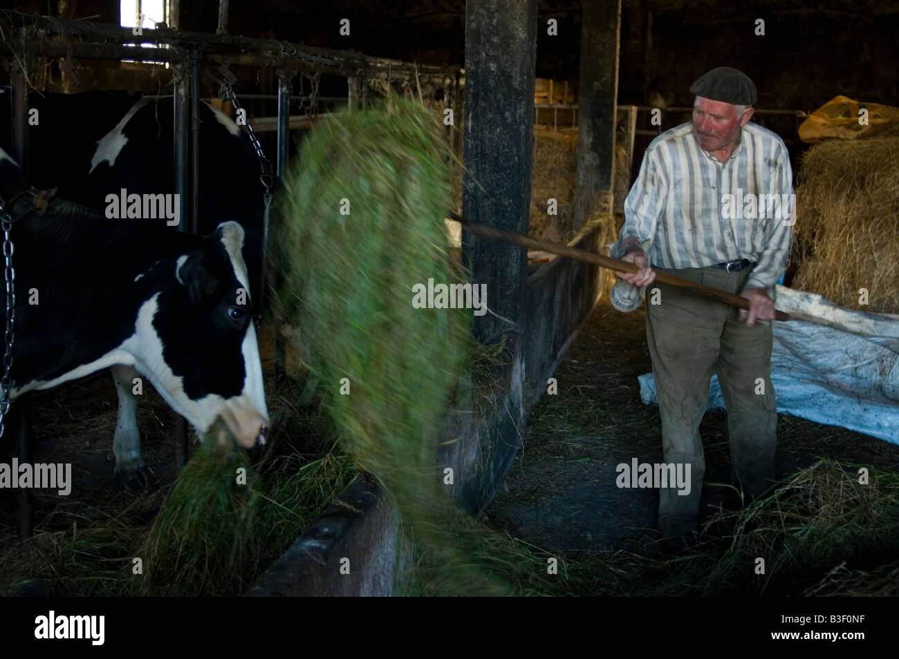 Farmer in the village of Olveiroa WAY OF SAINT JAMES or CAMINO DE SANTIAGO - GALICIA region SPAIN Stock Photo