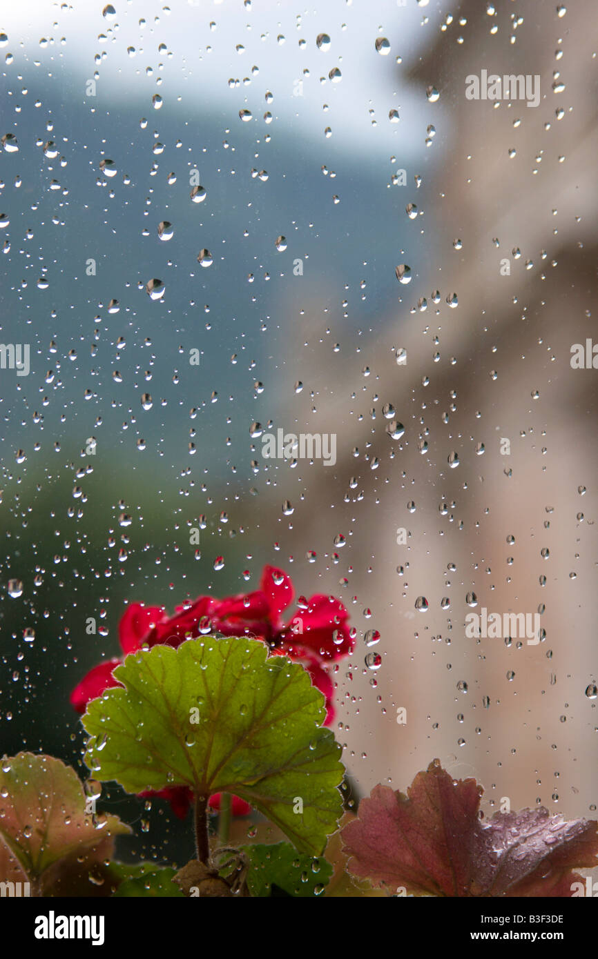 After the rain View through a window In the background out of focus the Church of S Maria Maggiore of Trento Italy Stock Photo - Alamy After the rain View through a window In the background out of focus the Church of S Maria Maggiore of Trento Italy Stock Photo - Alamy