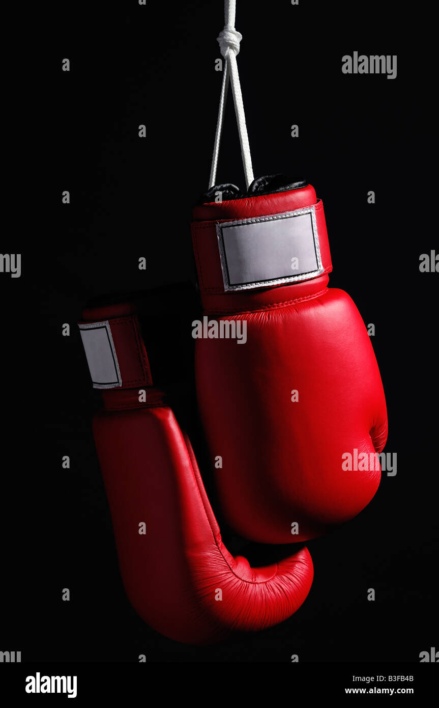 Boxing Gloves Hanging by Their Laces Stock Photo Alamy