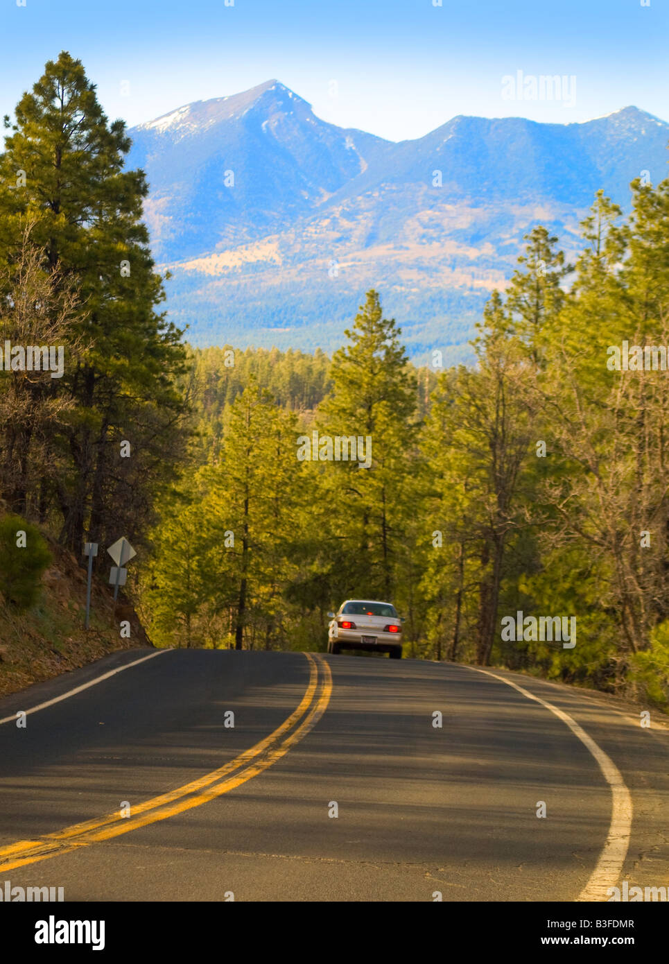 The San Francisco Peaks are a volcanic mountain range and landmark in