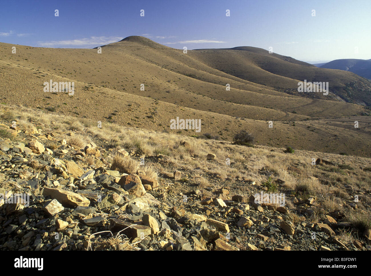 The Mountain Zebra National Park South Africa Stock Photo