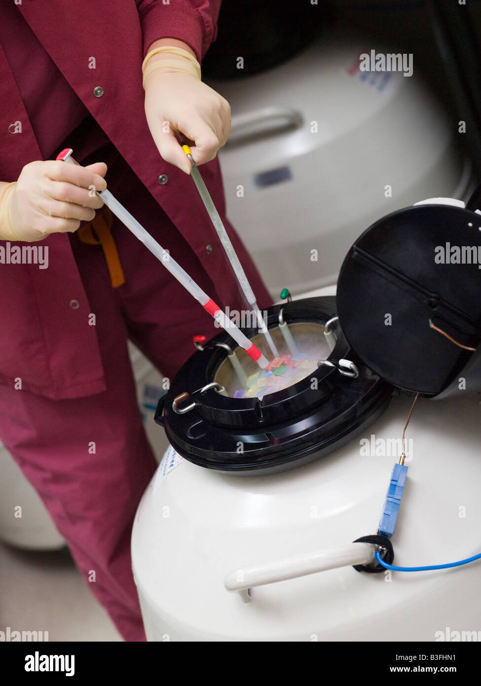 Embryologist freezing embryos for storage Stock Photo