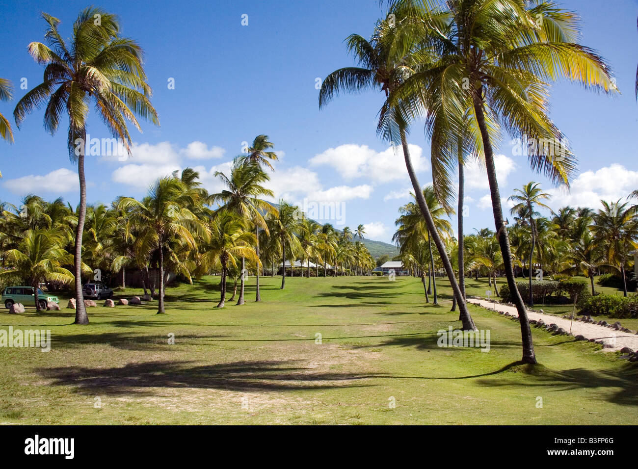 Nisbet Plantation Hotel gardens with Coconut Palms at Nevis Caribbean Stock Photo