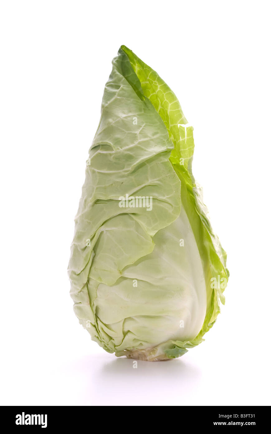 Sweetheart cabbage hires stock photography and images Alamy