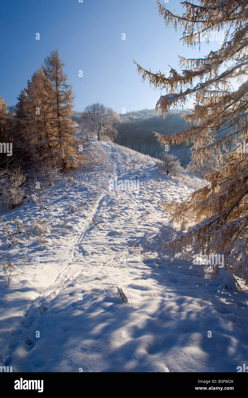 footpath in snow narrow path leading through freshly snow covered landscape when winter sets in Schwaebische Alb Germany Stock Photo