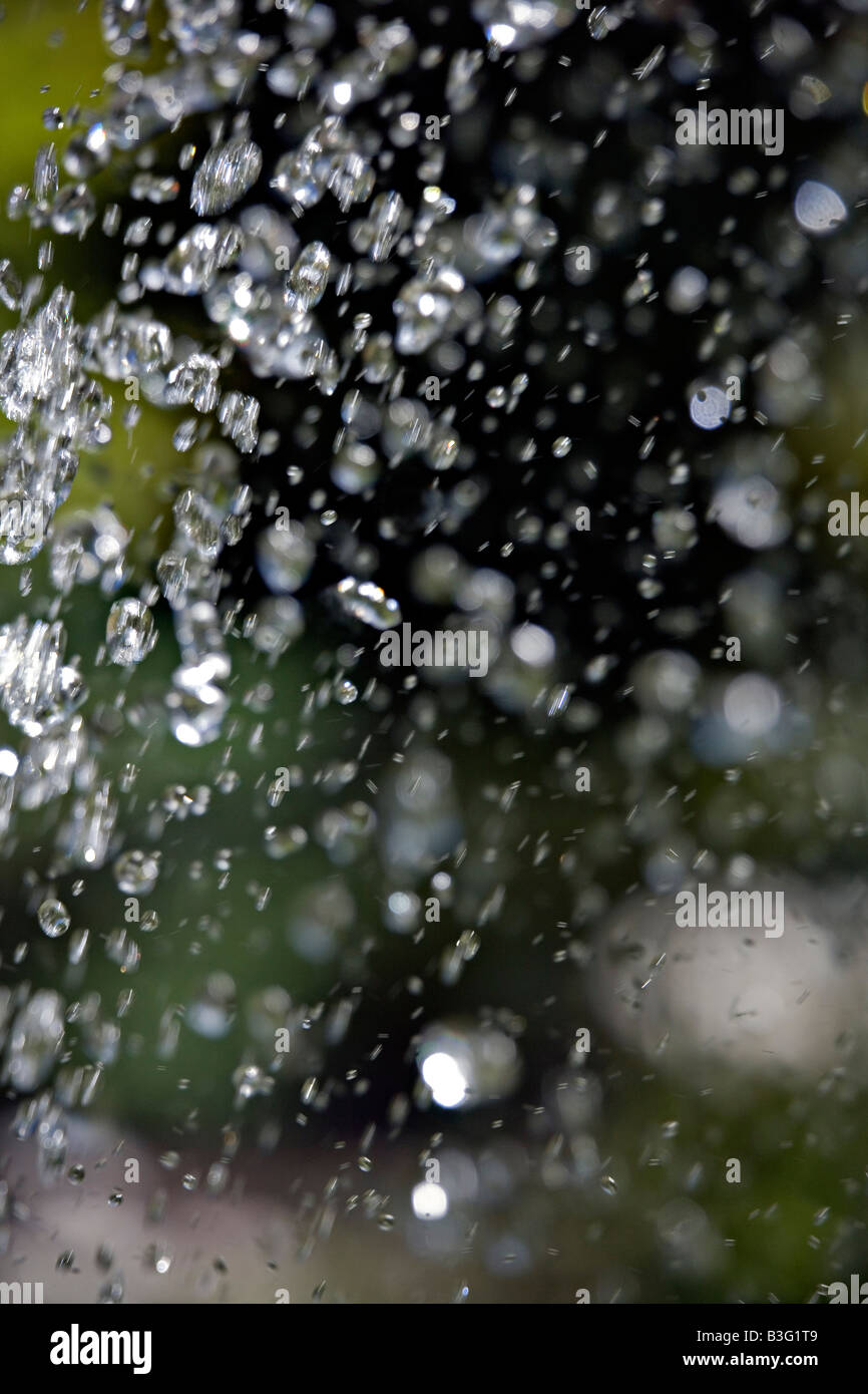 Falling waterdrops while water the garden Stock Photo - Alamy