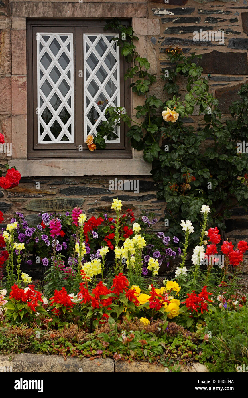 Scottish lattice window, with summer flowers Stock Photo