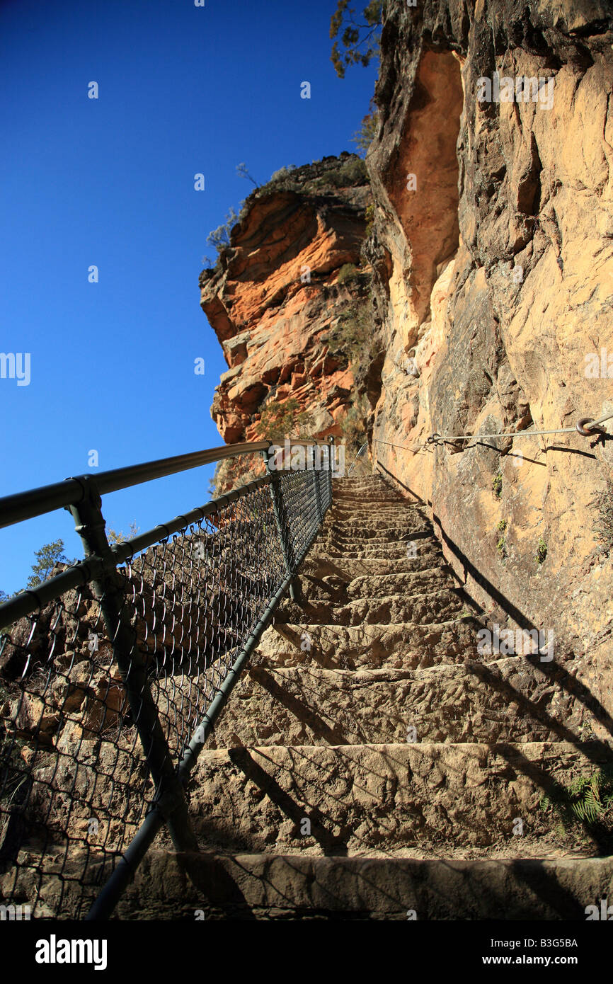 stairs in Blue Mountains Stock Photo Alamy