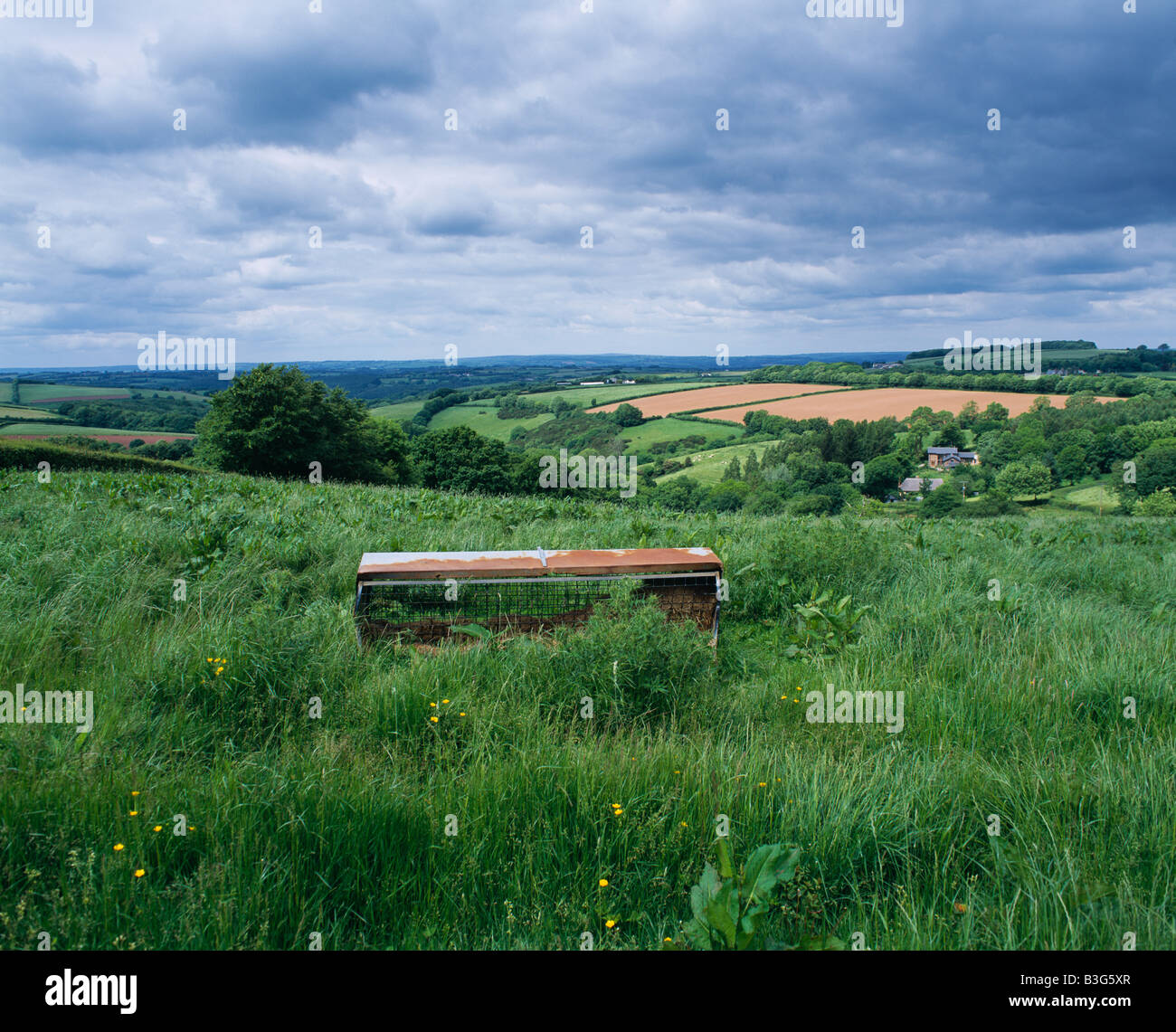 An old livestock feeder stands in a summer meadow in the North Devon landscape near Stoodleigh, Tiverton, Devon, England. Stock Photo