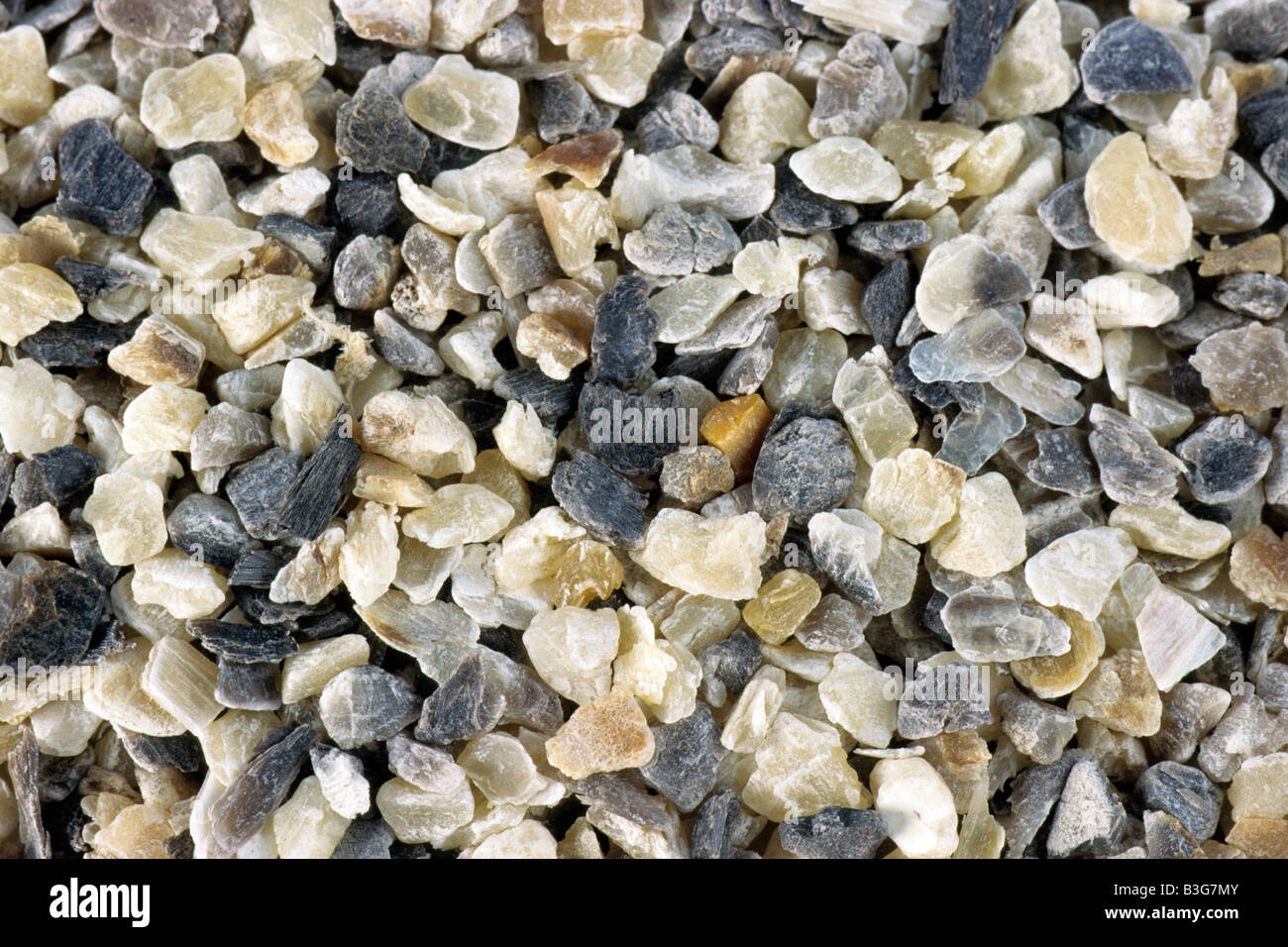 Ground horns and hooves of domestic cattle used as fertilizer, studio