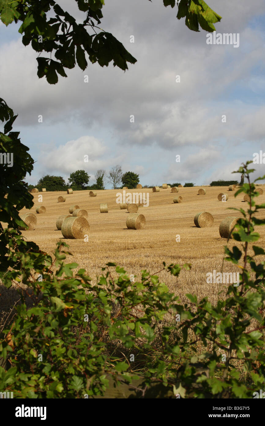 An English rural scene. Nottinghamshire, England, U.K. Stock Photo