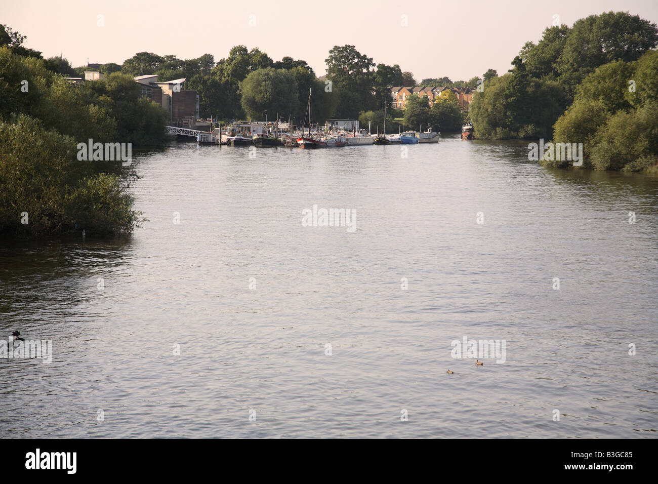 river thames at brentford Stock Photo - Alamy