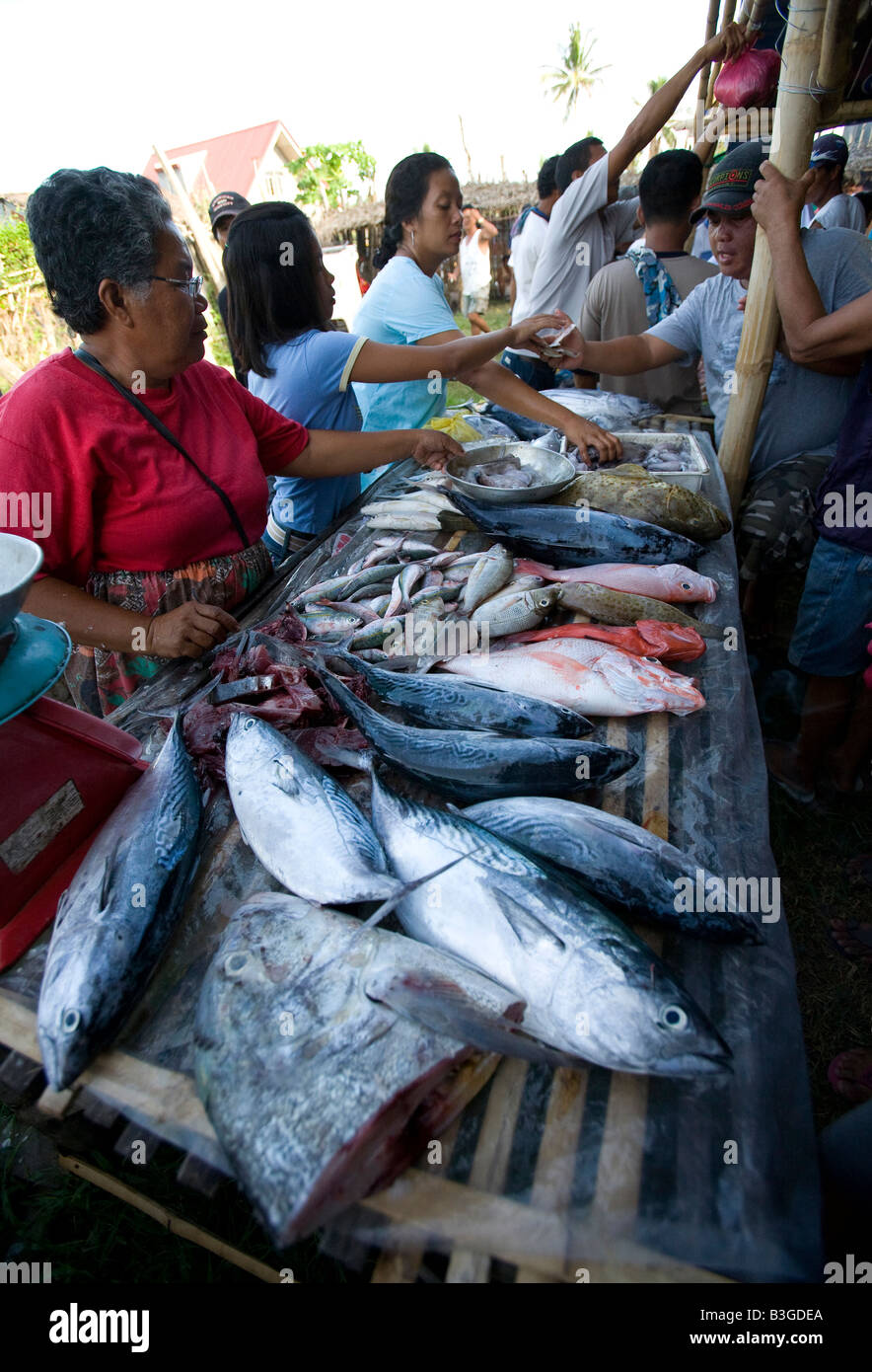 Fish market seafood philippines hires stock photography and images Alamy