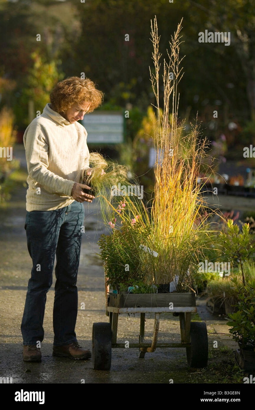 Buying compost garden centre hires stock photography and images Alamy