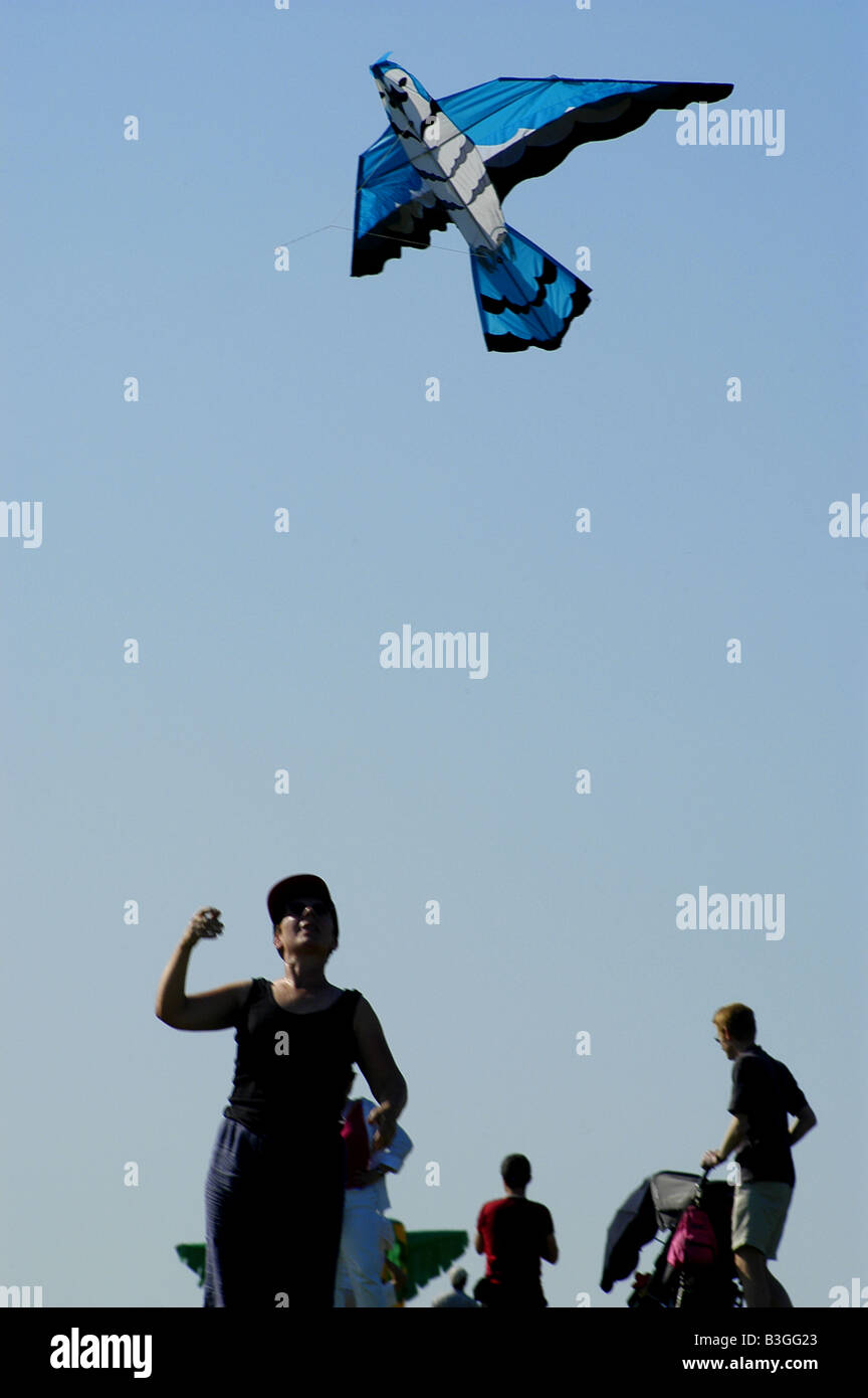 Flying a kite during Bristol Kite Festival,UK Stock Photo Alamy