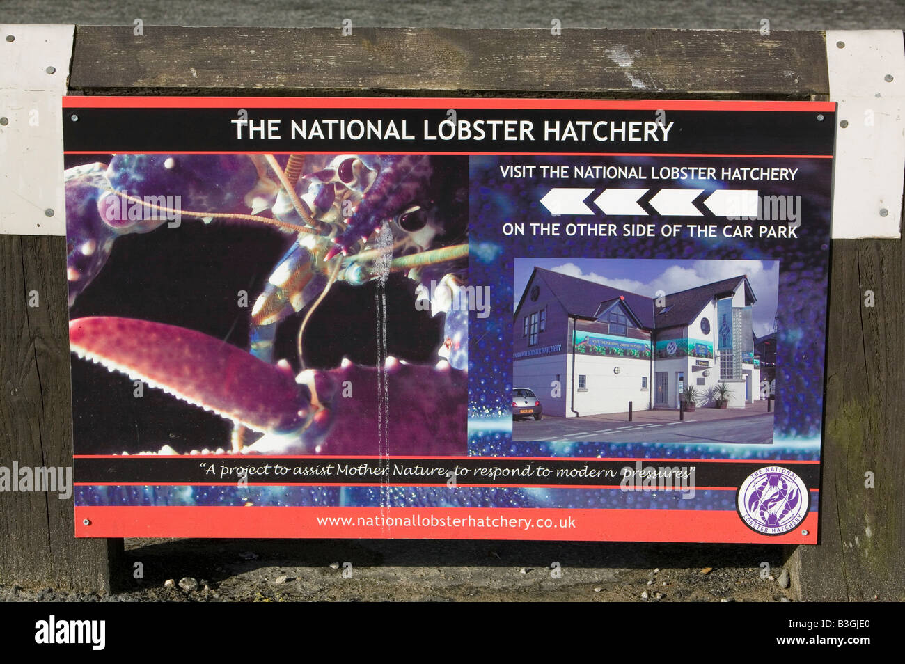 The National Lobster Hatchery at Padstow Harbour Cornwall UK Stock