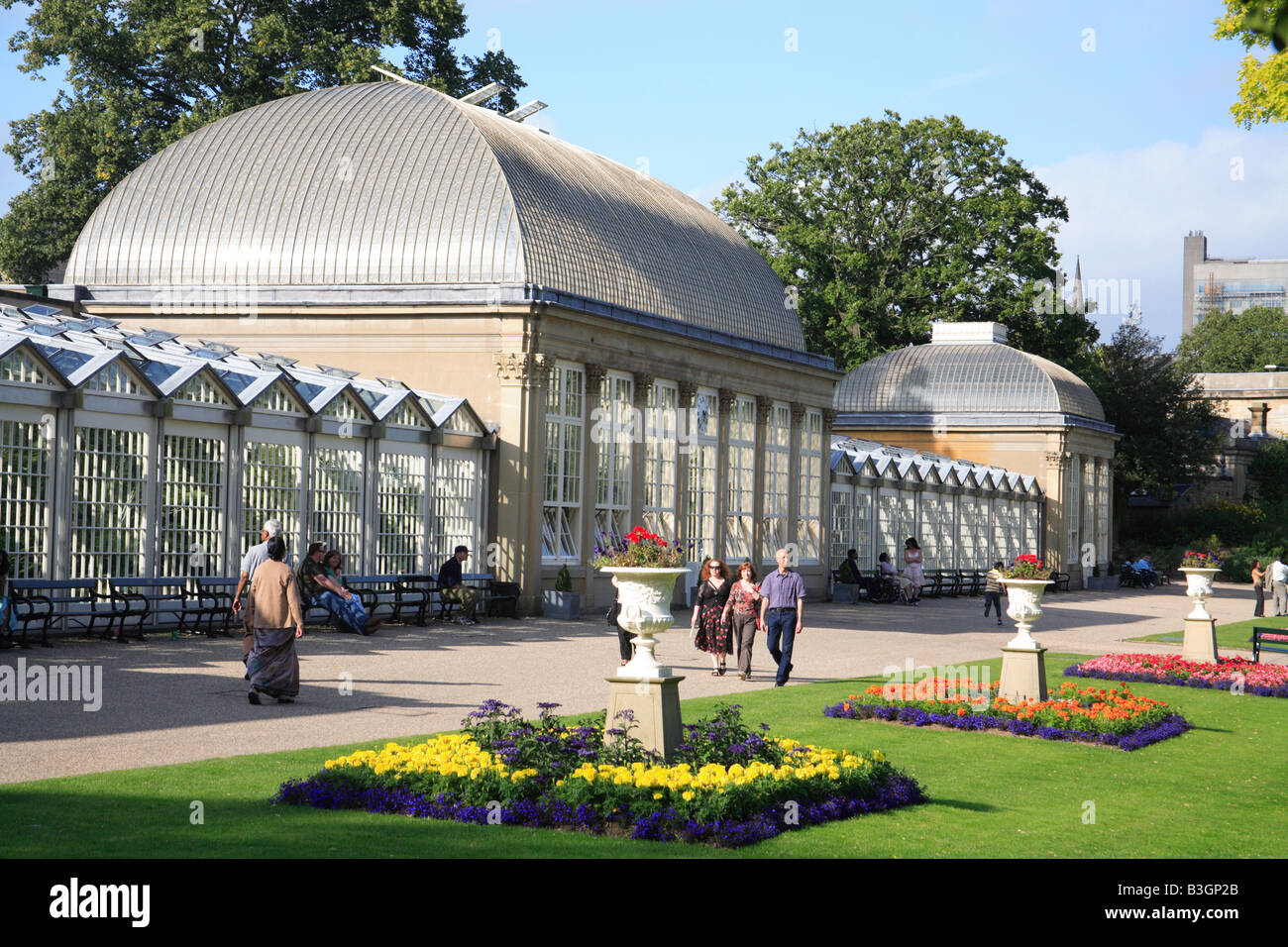 Sheffield Botanical gardens glass house green greenhouse park Stock
