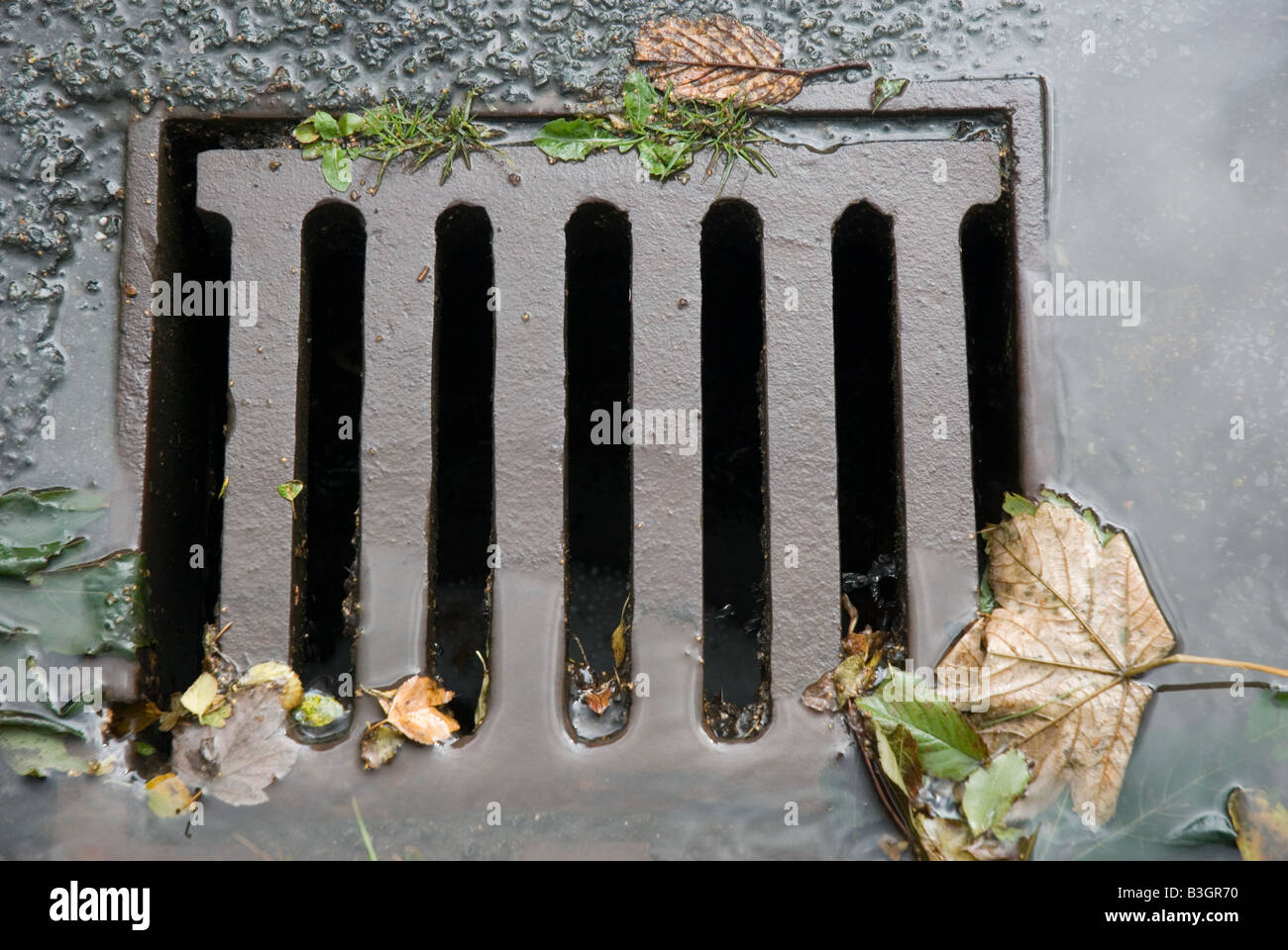 British drain cover hires stock photography and images Alamy