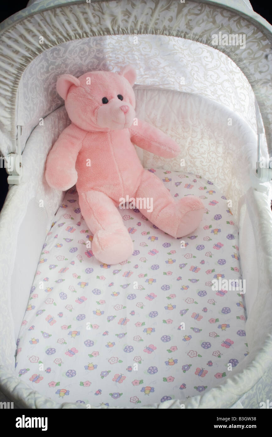 Teddy bear bassinet sale