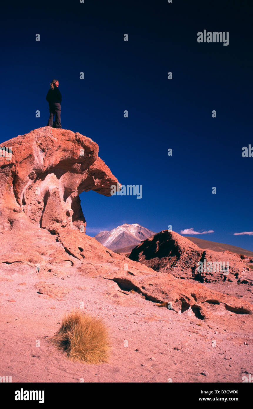 Bolivia Salt Flats wave rock Stock Photo