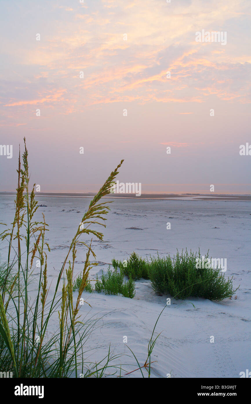 The sun rises over the Atlantic Ocean as seen from Cumberland Island.  Georgia USA. Stock Photo