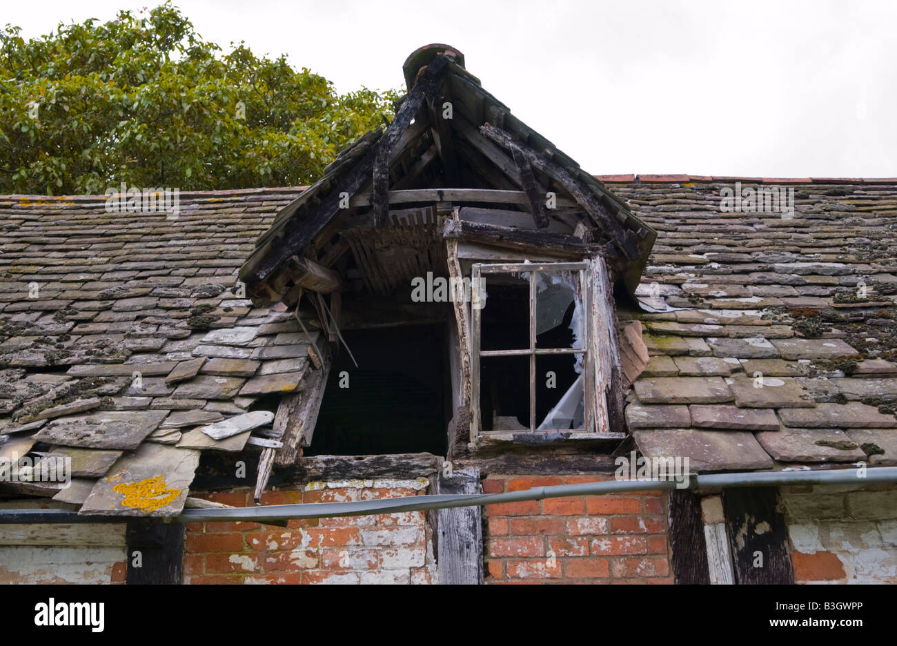 Derelict black and white timber framed cottage on roadside in Herefordshire Stock Photo