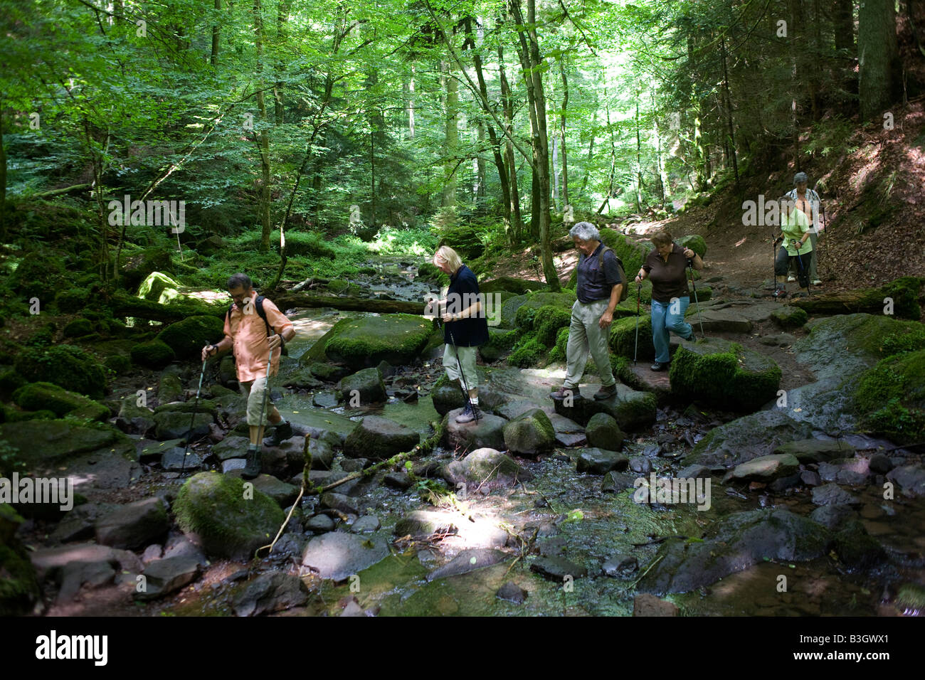 Walking friends cross river boulders single file in the ancient forest of Monbachtal Bach in Germany's Black Forest. Stock Photo