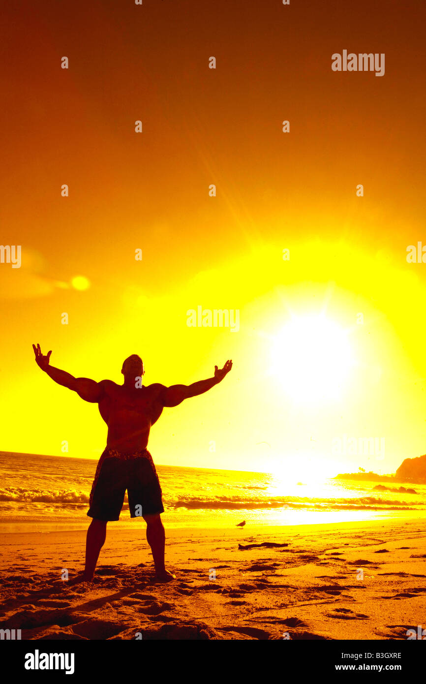 bodybuilder muscle power strength arm bicep steroid torso sun sunshine