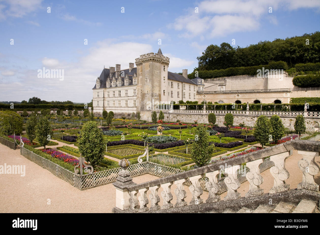 The steps from the middle ornamental garden down to the potager (vegetable) gardens of Chateau Villandry, Loire Valley, France. Stock Photo