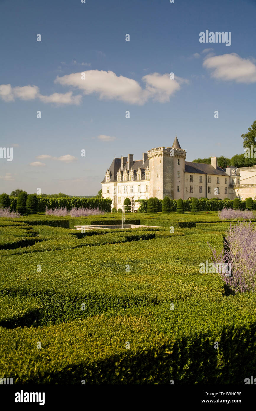 Lavender and box shrubs in the music garden in afternoon sunshine, looking north east towards Chateau Villandry, Loire Valley Stock Photo