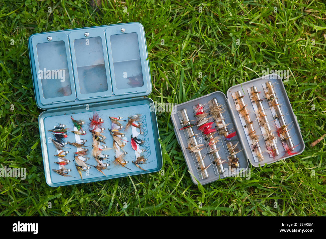 Fishing flies in boxes Stock Photo Alamy