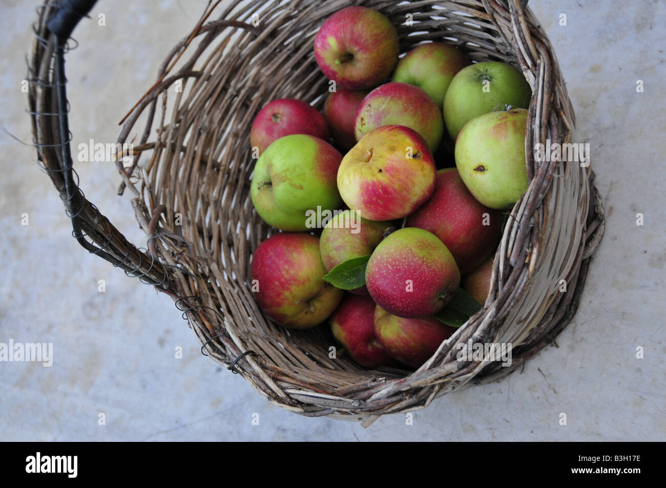 apple basket in the country of Italy Stock Photo
