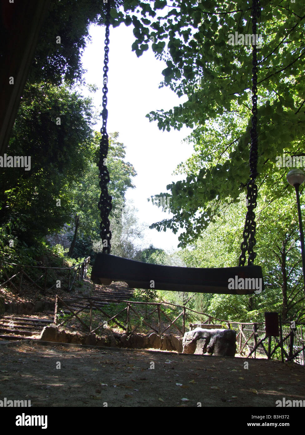 one swing hanging from tree in countryside Stock Photo - Alamy