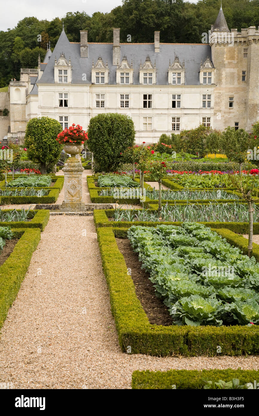 The potager or vegetable gardens of Chateau Villandry Loire Valley France Stock Photo