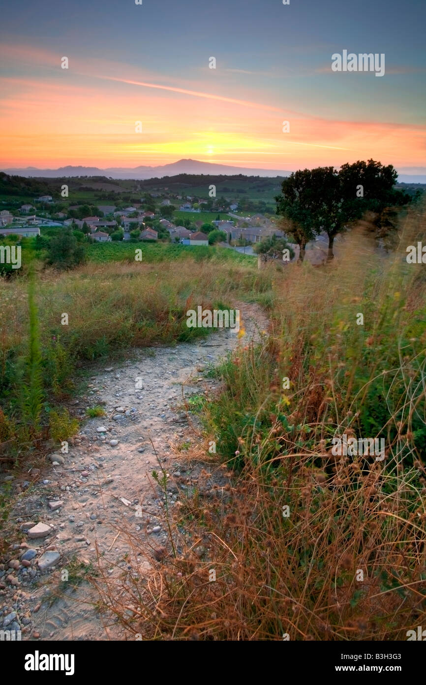 Path leading through the vineyards of Chateauneuf-du-Pape Stock Photo
