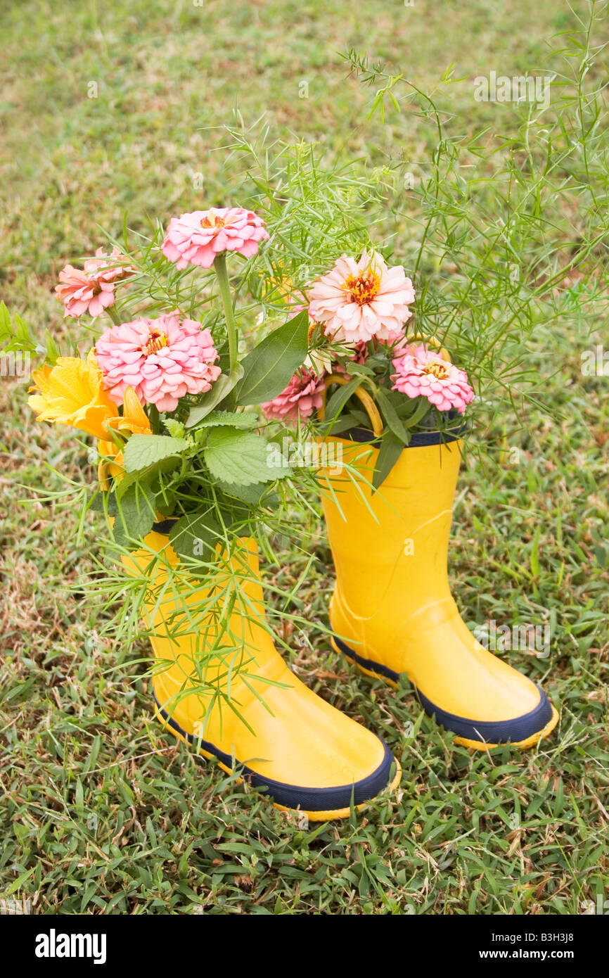 Yellow galoshes filled with flowers.  Caption space at the top. Stock Photo