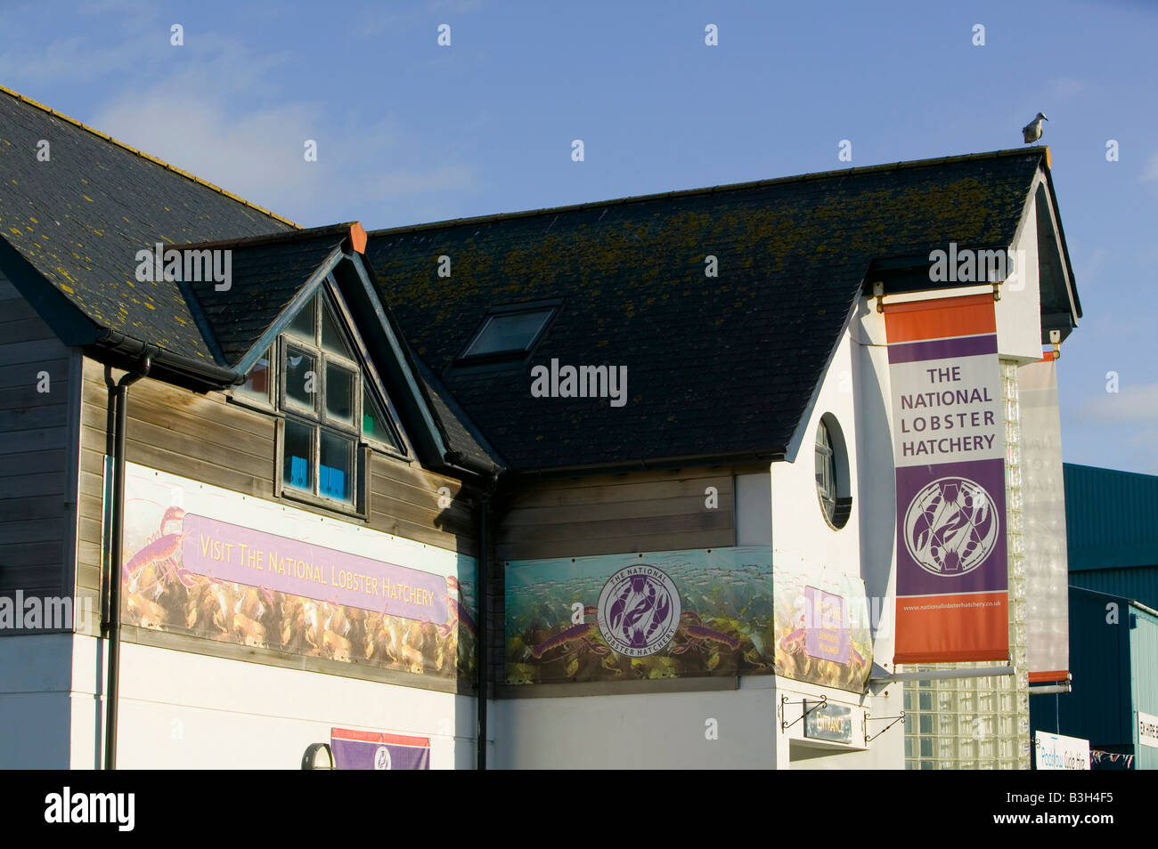 The National Lobster Hatchery at Padstow Harbour Cornwall UK Stock