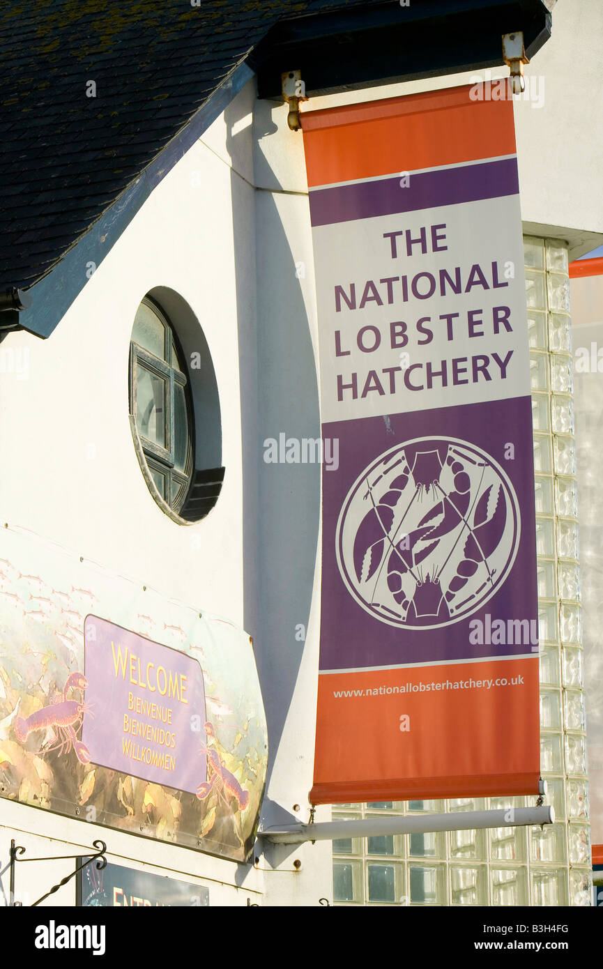 The National Lobster Hatchery at Padstow Harbour Cornwall UK Stock