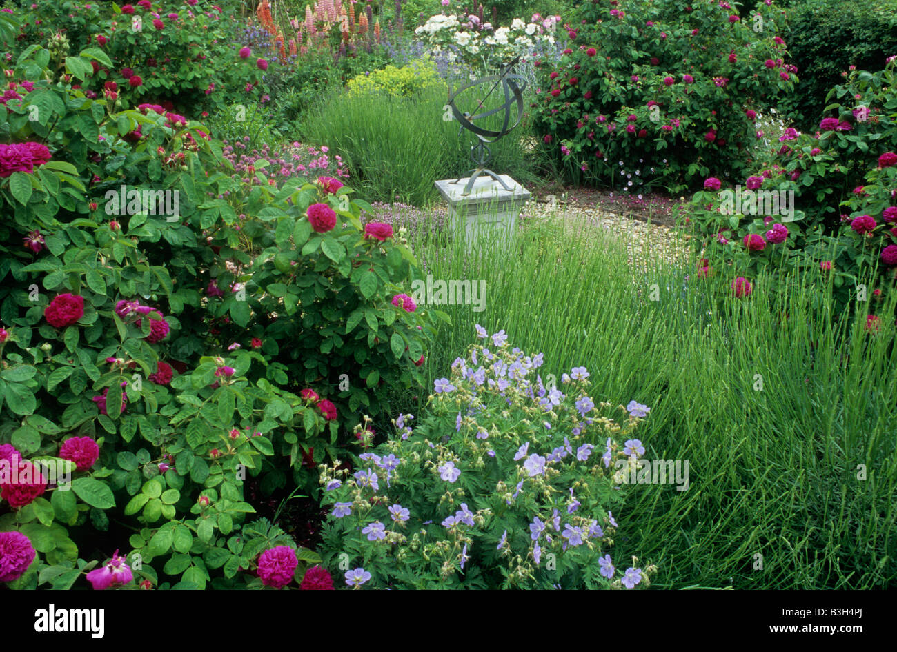 Rose Garden Sundial on Plinth flowers plants lawn design Stock Photo