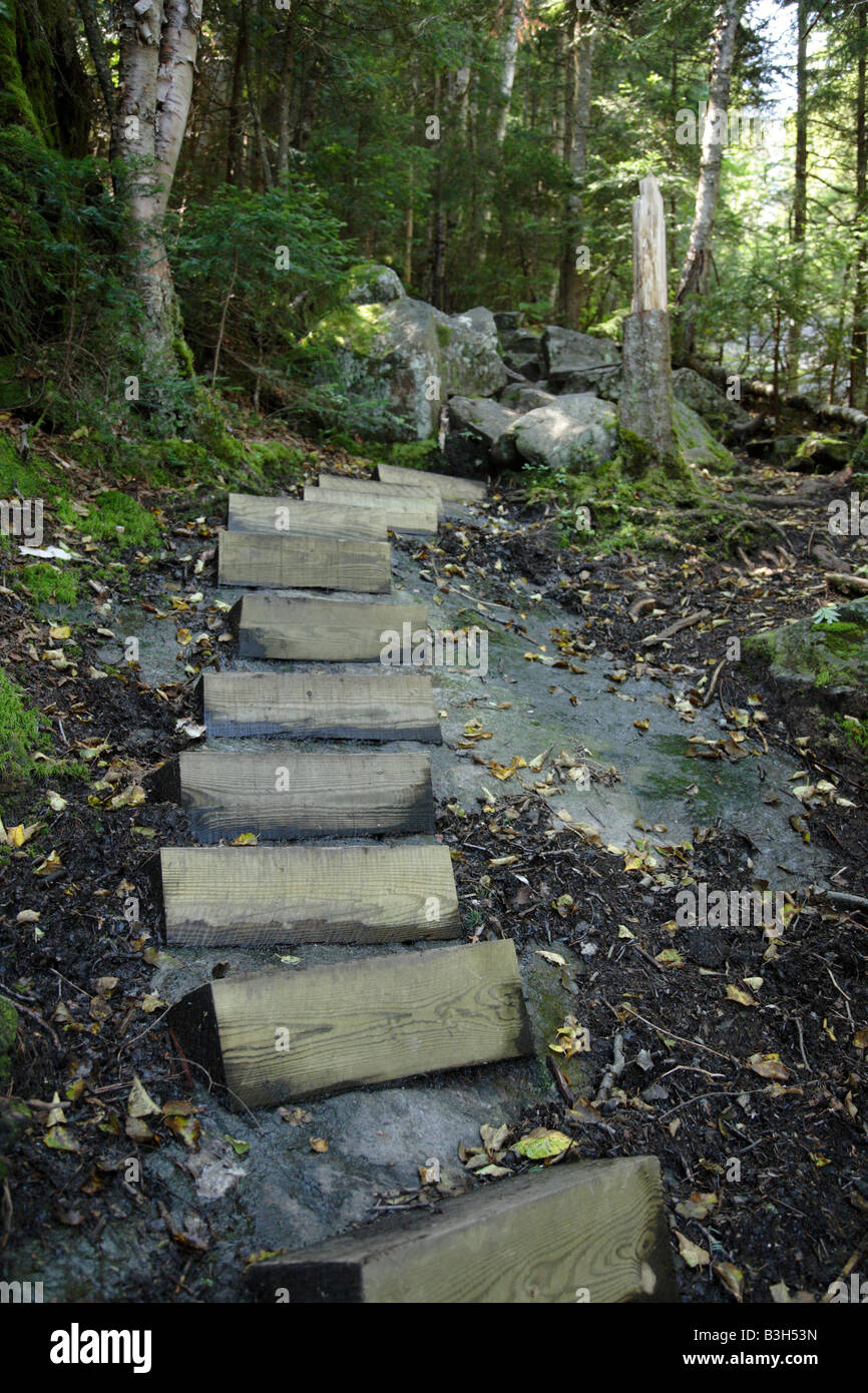 Appalachian Trail Beaver Brook Trail during the summer months Located