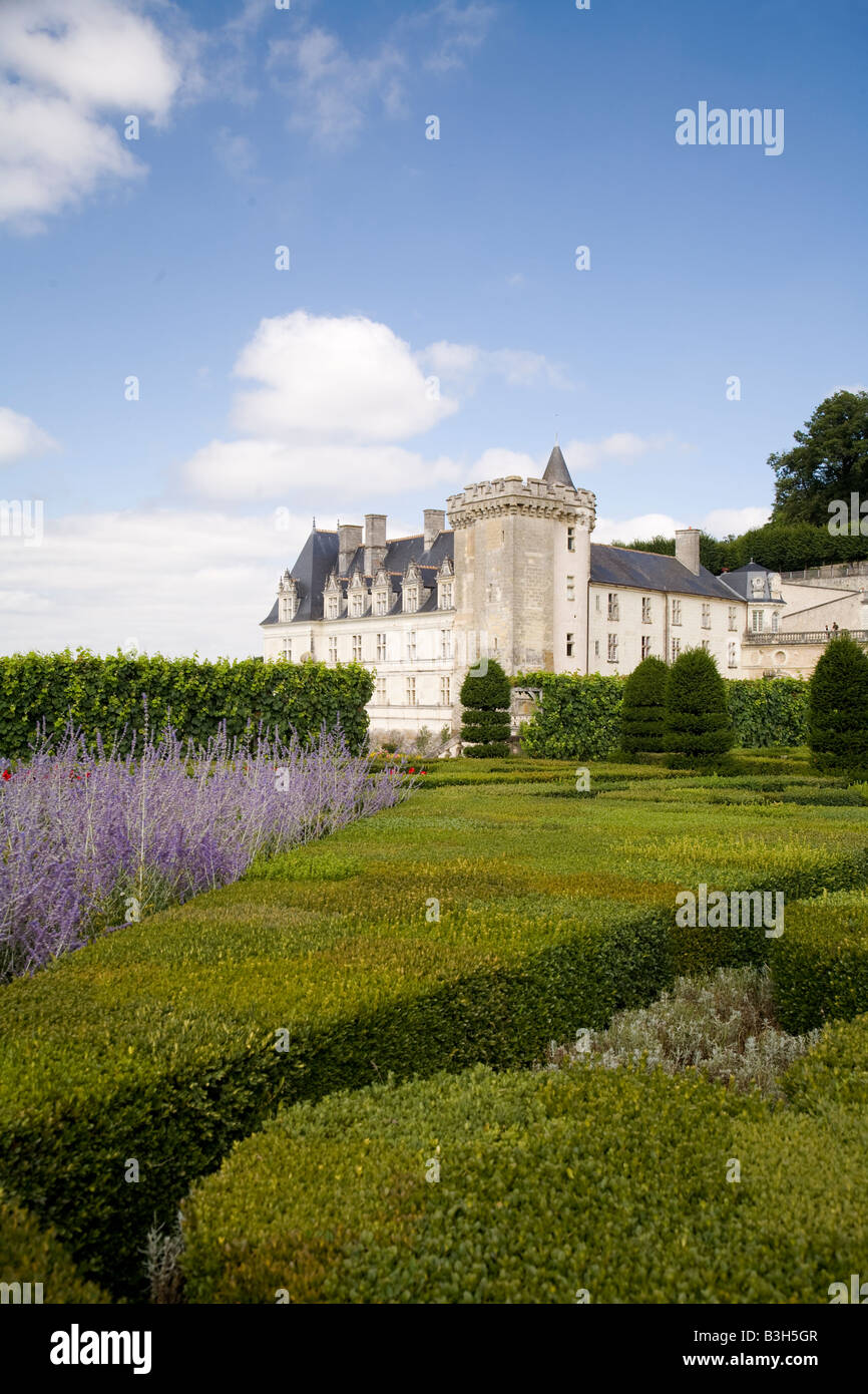 Lavender and box shrubs in the music garden looking north east towards the chateau Chateau Villandry Loire Valley France Stock Photo