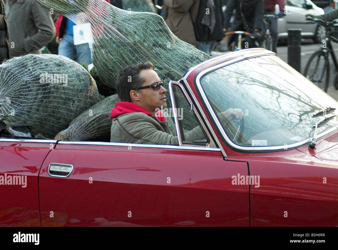 Italian Man in Alfa Romeo at Columbia Road Flower Market with Christmas Trees the Back of the car. Stock Photo