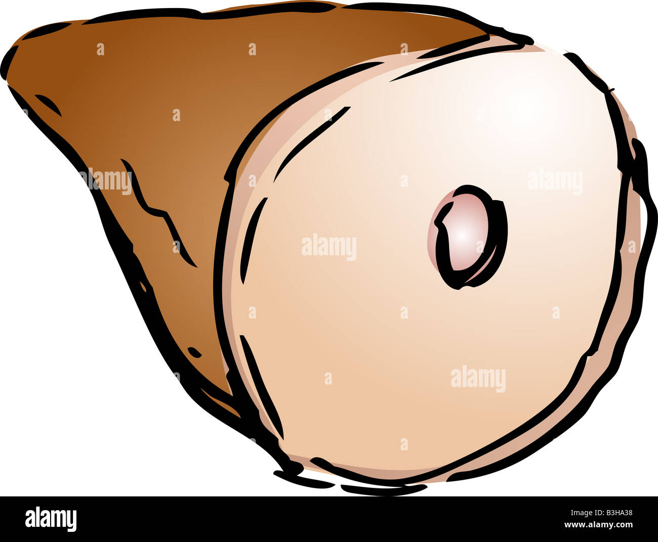 Cooked ham leg illustration Stock Photo Alamy