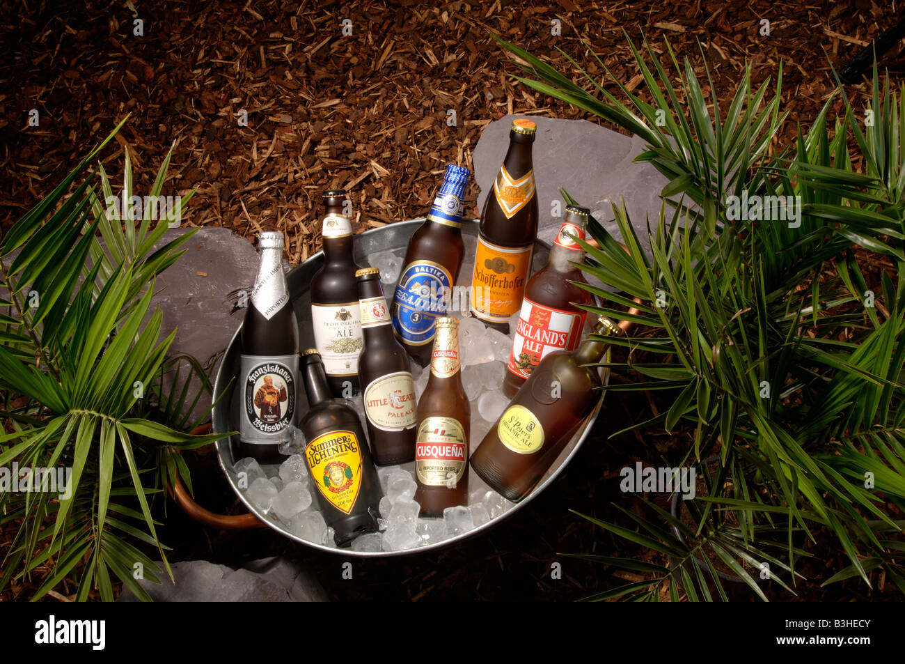 beer in ice bucket Stock Photo Alamy