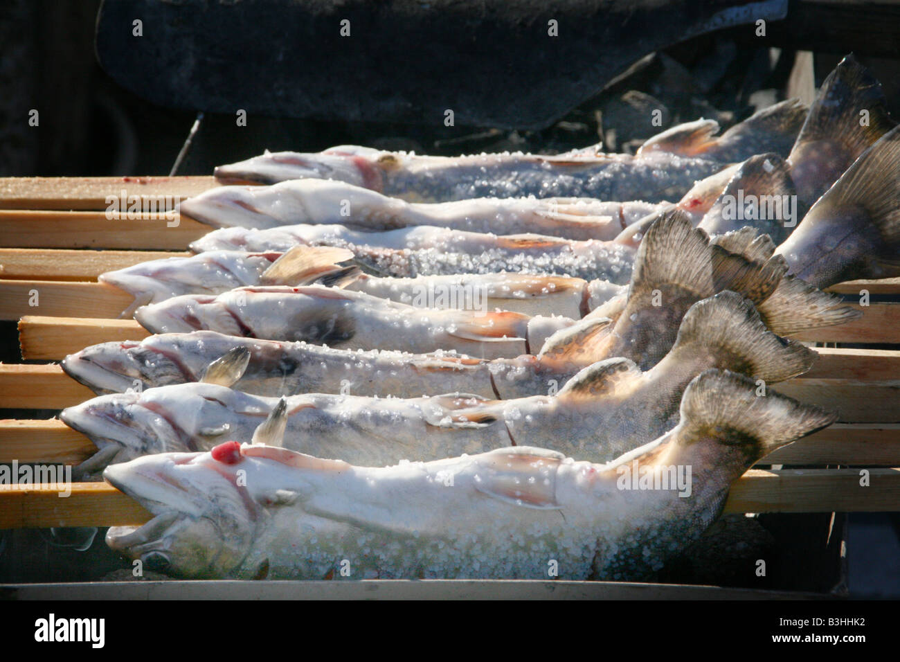Fish industry operations hires stock photography and images Alamy