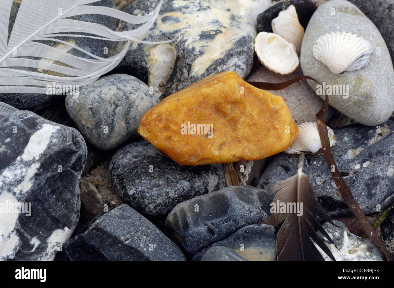 Amber beach hi-res stock photography and images - Alamy