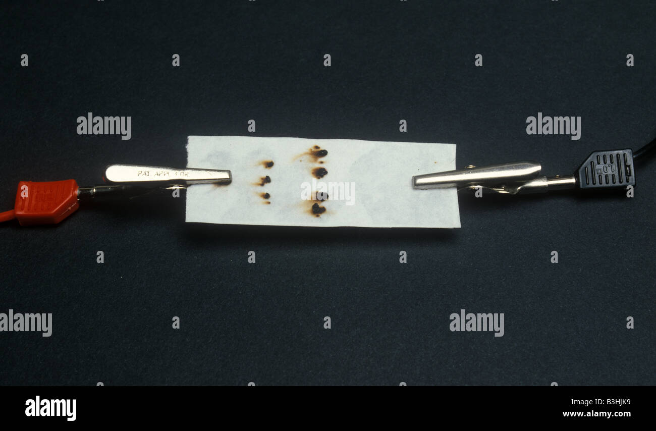 electrophoresis Stock Photo