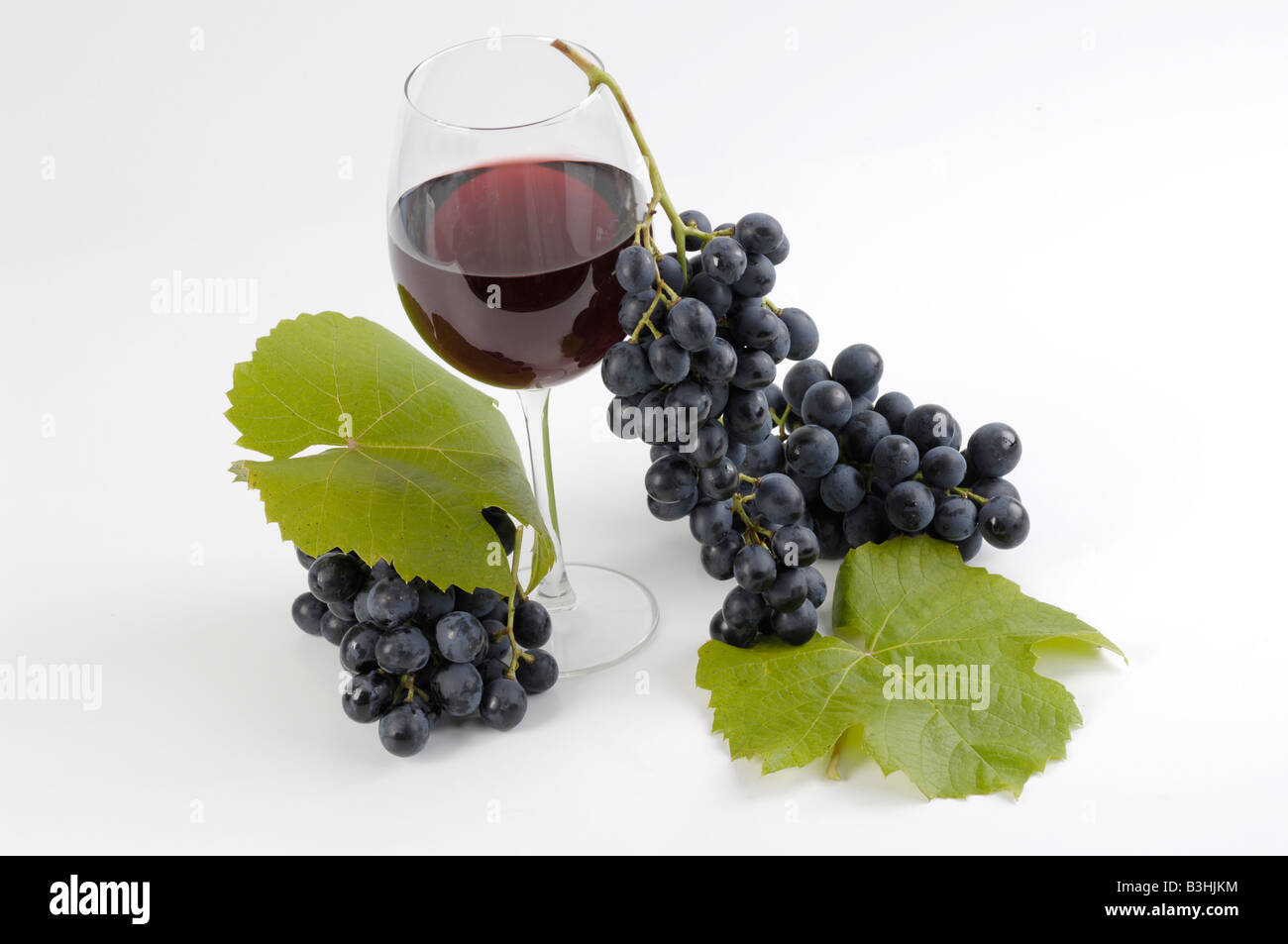 Red wine  Trollinger Stock Photo