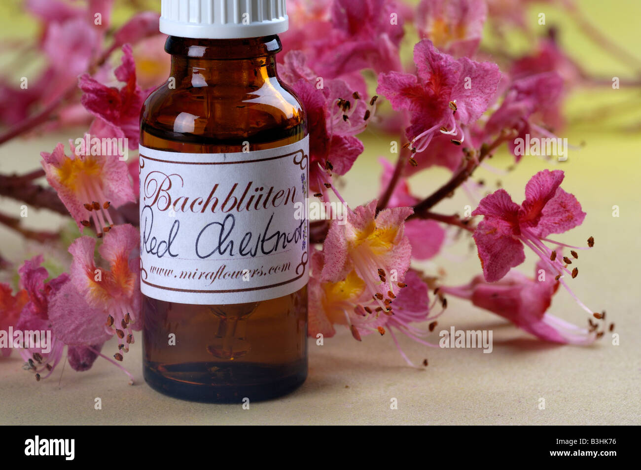 Bach Flower Stock Remedy Stock Photo Alamy